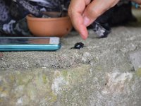 Raduno 4X4 26-07-2015 (85)